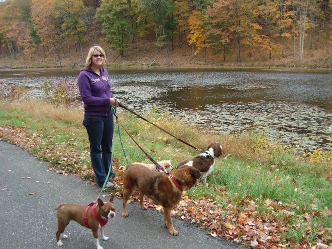 Susie's Pet Care Dog Boarding, Dog Training